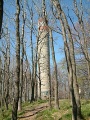 Csóványos lookout tower.JPG