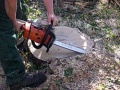 Chainsaw.arp.750pix.jpg