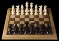 Opening chess position from black side.jpg