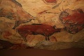 Reproduction cave of Altamira 01.jpg