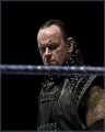 Undertaker primer plano.jpg