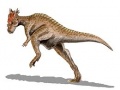 A Dracorex rekonstrukciója