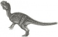 A Piveteausaurus divesensis rekonstrukciója az allosauroideák általános testfelépítése alapján
