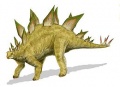 A Stegosaurus stenops rekonstrukciója